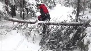 Skogsarbete i Ryssj&ouml;n