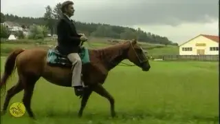 Wer die Menschen kennt... - Impressionen vom RAI-Reiten