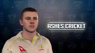 Cricket 2019 PC on MSI GL63-9SDK