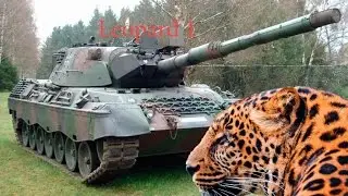 Armored Warfare. Leopard 1. Обзор.