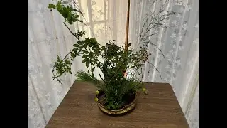 投稿872　０蘭Nature art