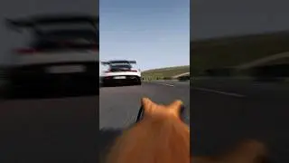 Rise to the challenge. #meow #pablo #cat #catsofinstagram #fyp #fypシ #gaming #assettocorsa #shorts
