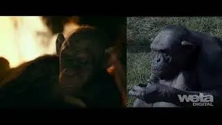 War For The Planet Of The Apes - Animation | VFX  Breakdown  By Weta Digital.