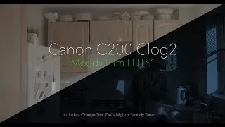 Canon C200 C-Log2 // Moody Film LUTS