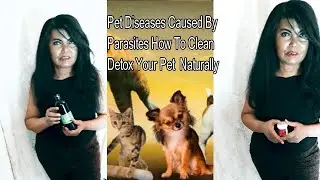 How To Clean Your Pet Remove Odor - Pet Diseases Caused By Parasites, Bacteria, Fungi Barbara Frank
