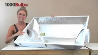 Raptor Mega Reflector Indoorline