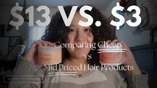 Comparing Dollar Store VS. Target Hair Products (Shea Moisture)