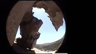 l'ours sardaigne