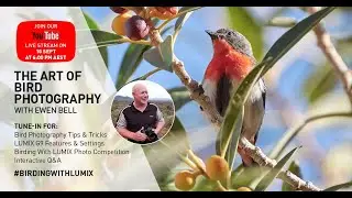 The Art of Bird Photography with Ewen Bell - Presented by Panasonic LUMIX