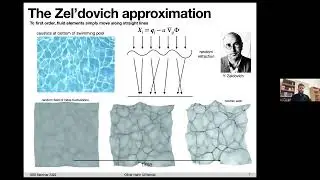 Structure Formation and the Cosmic Web with Oliver Hahn