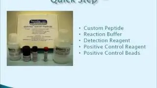 Sandia Bio's Split Fluorescent Protein and Peptide Analysis Tools Webinar