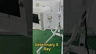 Pet X Ray Portable and Mobile Easily  #dog #pets #veterinary #vetcare #vetclinic