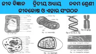 Jibakosha o ahara sangathana | Class 9 Jiba bigyan | Life science | Odisha Education Knowledge 