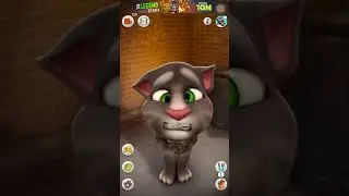 Talking Tom Cat| Talking Ginger Cat #angry😡🤬 🍐🍒🍕🍉🍊🥞🍑 #talkingtom #gameplay #shorts #cat