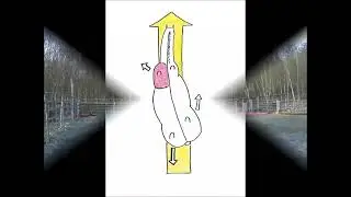 Lavoro su due piste: parte 2