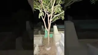 Highlight 1:40:34 - 1:45:34 from Muhammad Shah Graveyard is terrifying! 🌳👻 Shadows move, whispers li