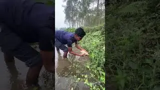 🎣 Fishing for LIFE in a Desi Village | A Day of Traditional Fishing in Rural Life 🌾 Village Ltd