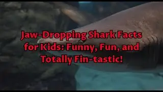 Jaw dropping shark facts for kids funny fun and totally fin-tastic!