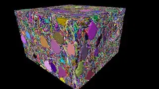Cortical layer 4 connectomic reconstruction colored