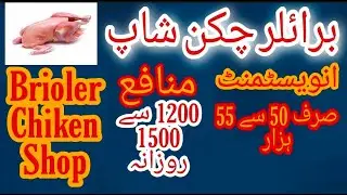 37- How To Start Broiler Chiken Meat Shop | Broiler Chiken Shop | Small Business idea | Urdu/Hindi