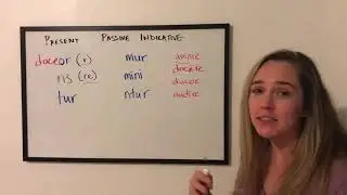Present Passive Indicative Latin