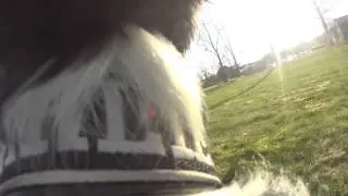 Sony Action Cam Harness