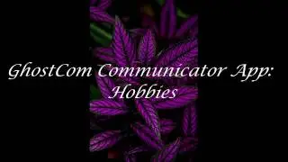 GhostCom Communicator: Hobbies or The Second U.S. Presidential Debate