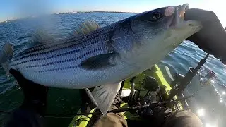 SNAG AND DROP BUNKER FOR BIG STRIPED BASS - MAY 2020