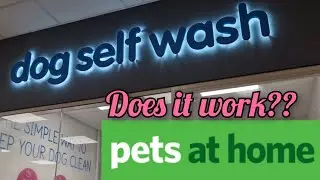 Pets At Home *DOG SELF WASH* Is it worth it??🚿