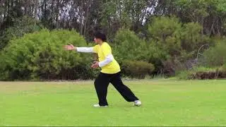 Perth Tai Chi Academy: Tai Chi for Arthritis 1 (TCA 1) back demo