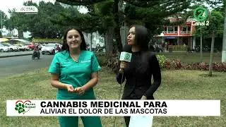 Los Beneficios del aceite de cannabis para perros en Pasi&oacute;n Animal TV