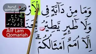 BELAJAR NGAJI TAJWID SURAH AL AN'AM AYAT 38 BAG 1 EPS 1727