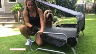 Introducing the Disc-O-Bed Dog Bed!