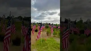 1,776 flags at the annual Memorial Day &ldquo;Field of Honor&rdquo;, Castaways Park, Newport Beach CA 2022. I