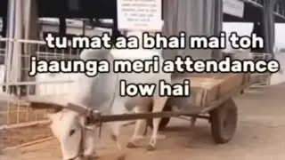 Ultimate Memes Compilation 😂 | Trending & Relatable Memes | Mamaji Ke Memes