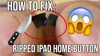 How to restore Touch ID on a Broken iPad #iDoctor #Shorts