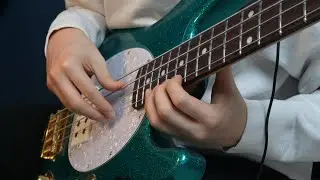 The Real Slim bass (the real slim shady bass cover)