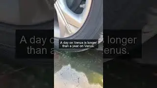 Amazing Daily Facts Part 1