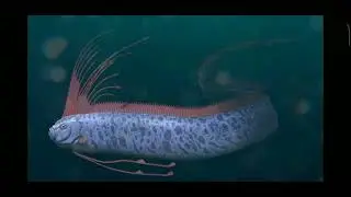 Why Are Deep-Sea Creatures like Oarfish also called doomsday fish are coming to Surface?