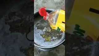 #Air #Water #hydrogen  #Gas #innovation  #new  #Cooking #Tecnology #Model #Demo #project