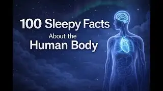 The Most Relaxing 100 Sleepy Facts About the Human Body to Fall Asleep To
