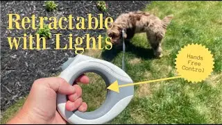 Retractable Dog Leash with Ultra Bright LED Light,Hands-Free /360&deg;Tangle Free 10ft Dog Walking Leash