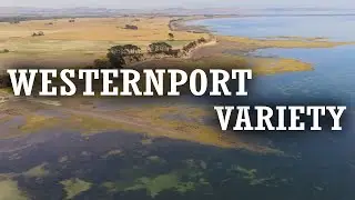 Bass Yabbies to Whiting to Snapper