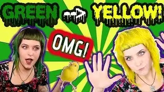 GREEN TO YELLOW HAIR COLOR USING OLAPLEX!