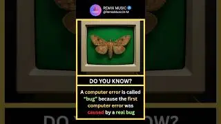 The First Computer Bug Was a Real Moth #computerbug #youtubeshorts #tech #facts