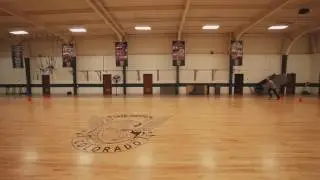 CadetFitnessStandardsDemo V2