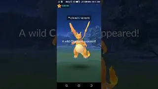 SUBSCRIBE  coordinate in comment charizard coordinate in Pok&eacute;mon go #pokemon #charizard #shorts