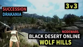 3v3 on Wolf Hills | Nodewar | NA Black Desert
