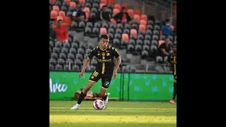 TALAL Amine [Highlights]