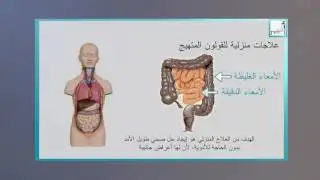 Afham TV With Alyaa Gad | IBS القولون العصبي